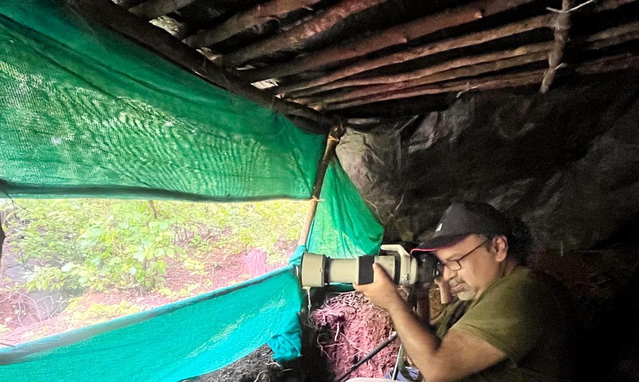 Suman Ghosh inside a rough forest hide built of branches and green shade-net, eye to the viewfinder of a long white telephoto lens