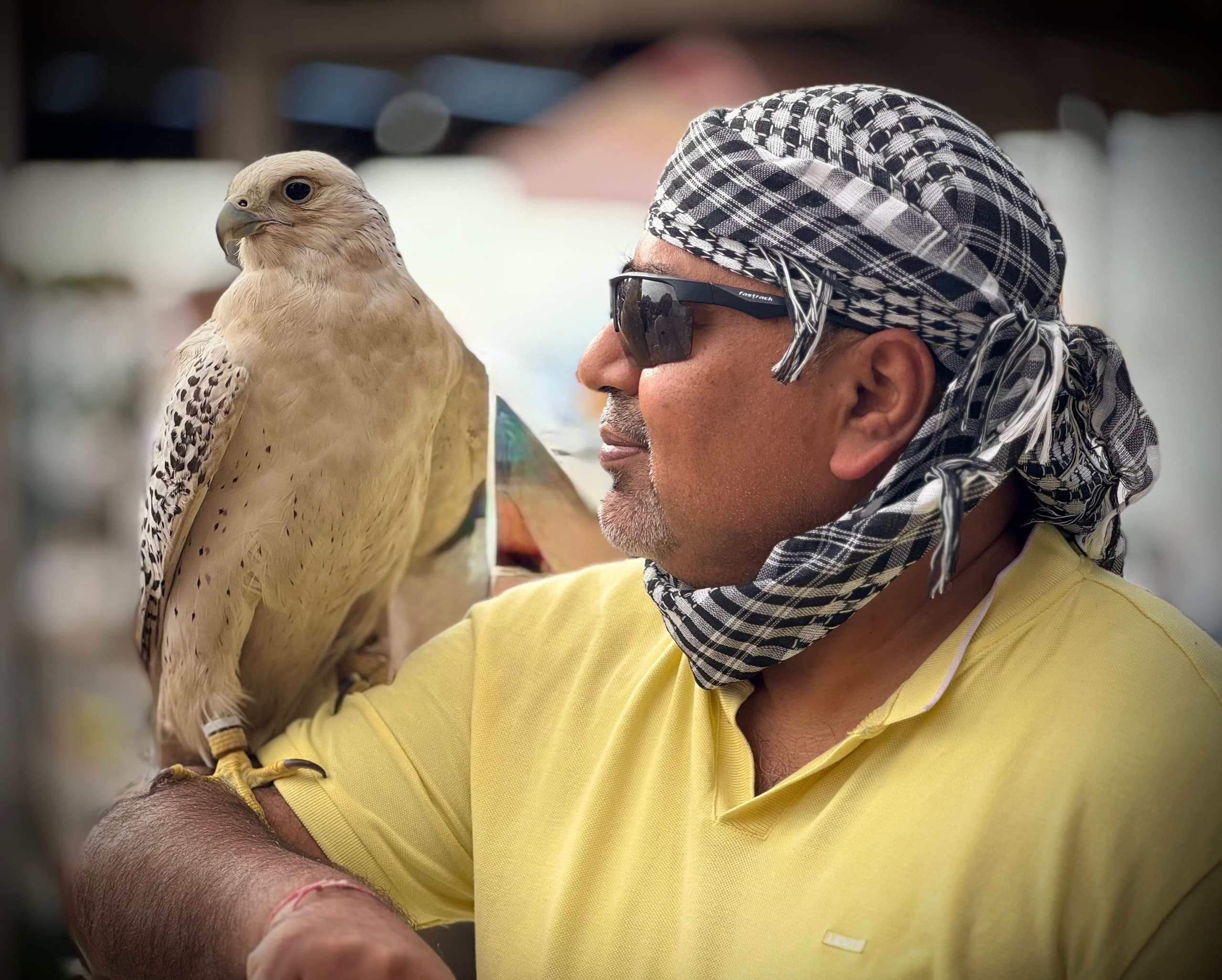 Suman Ghosh in profile wearing a checked head scarf and sunglasses, with a pale falcon perched on his shoulder looking towards him